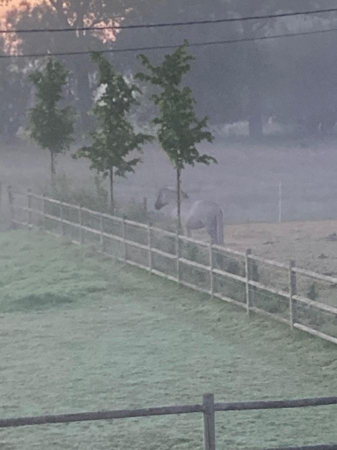 Zee-Van-Tijd Oudenburg Esterno foto