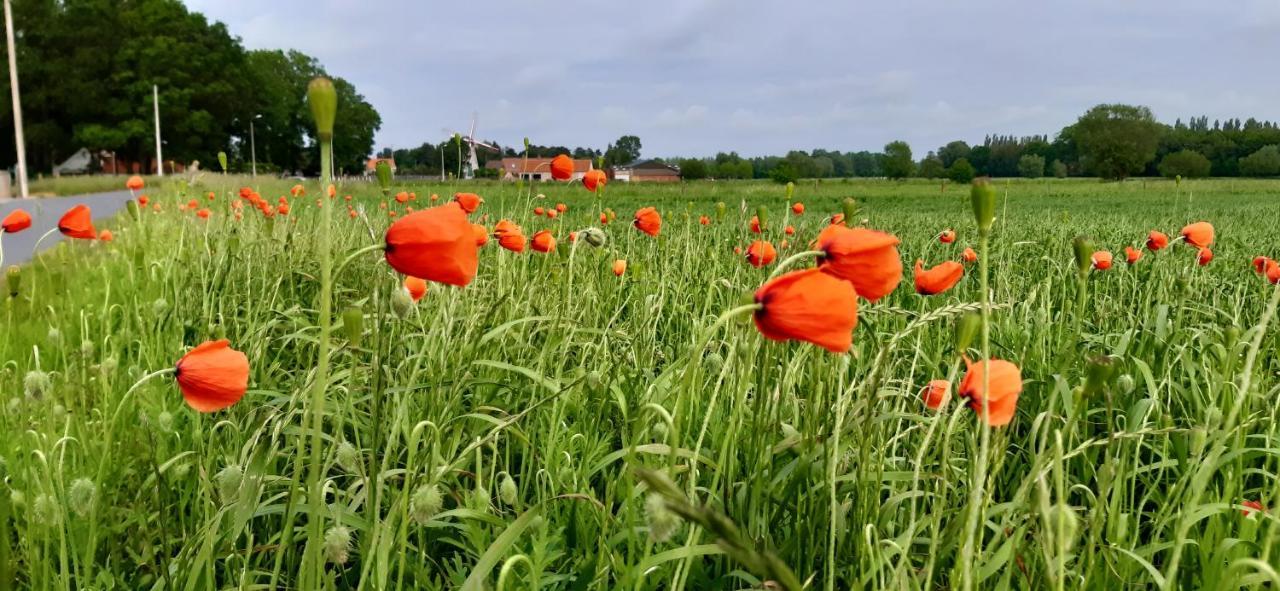 Zee-Van-Tijd Oudenburg Esterno foto