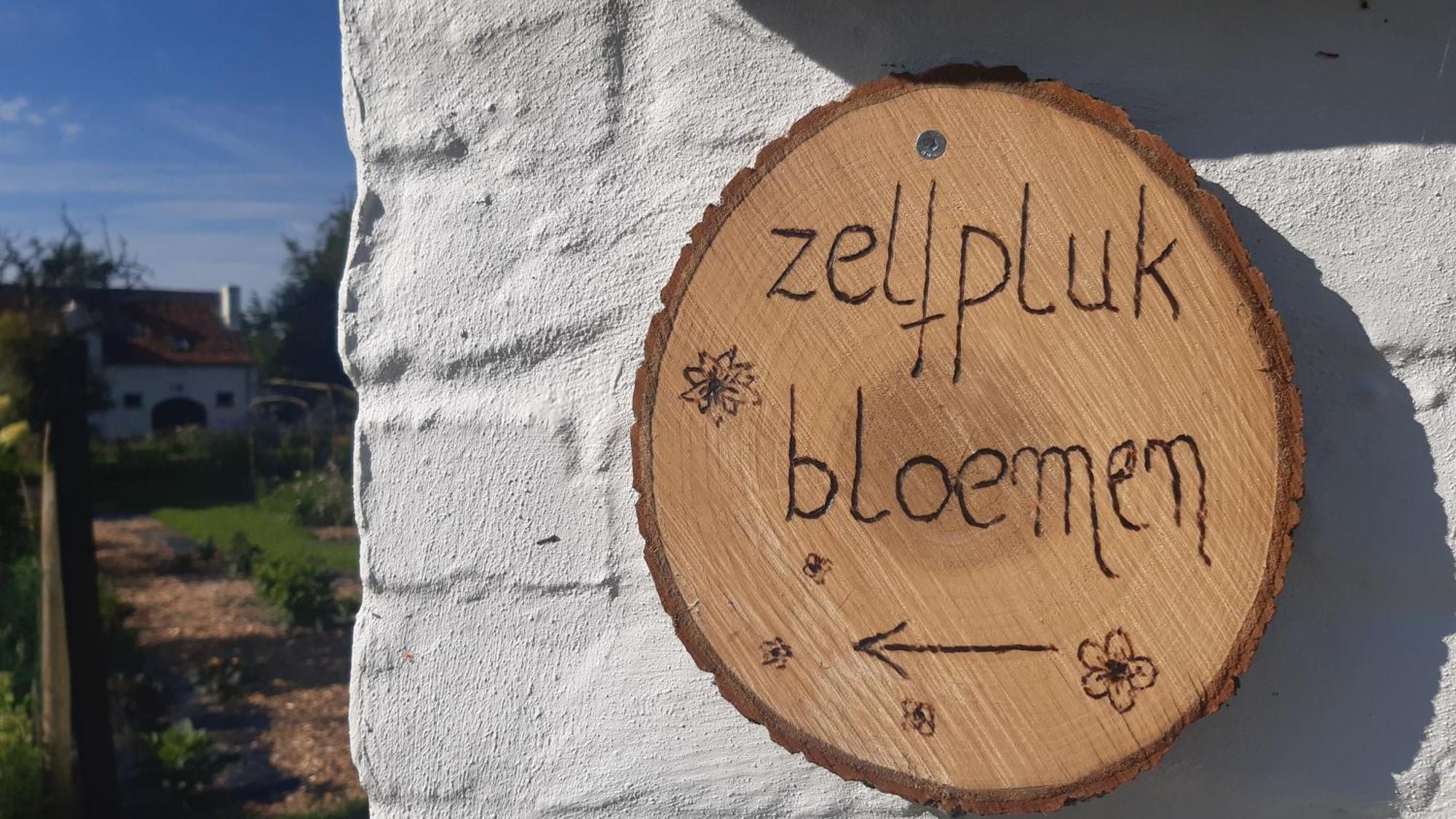 Zee-Van-Tijd Oudenburg Esterno foto